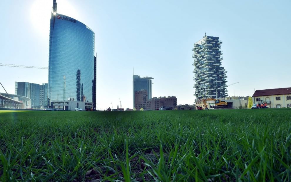 campo di grano a Milano