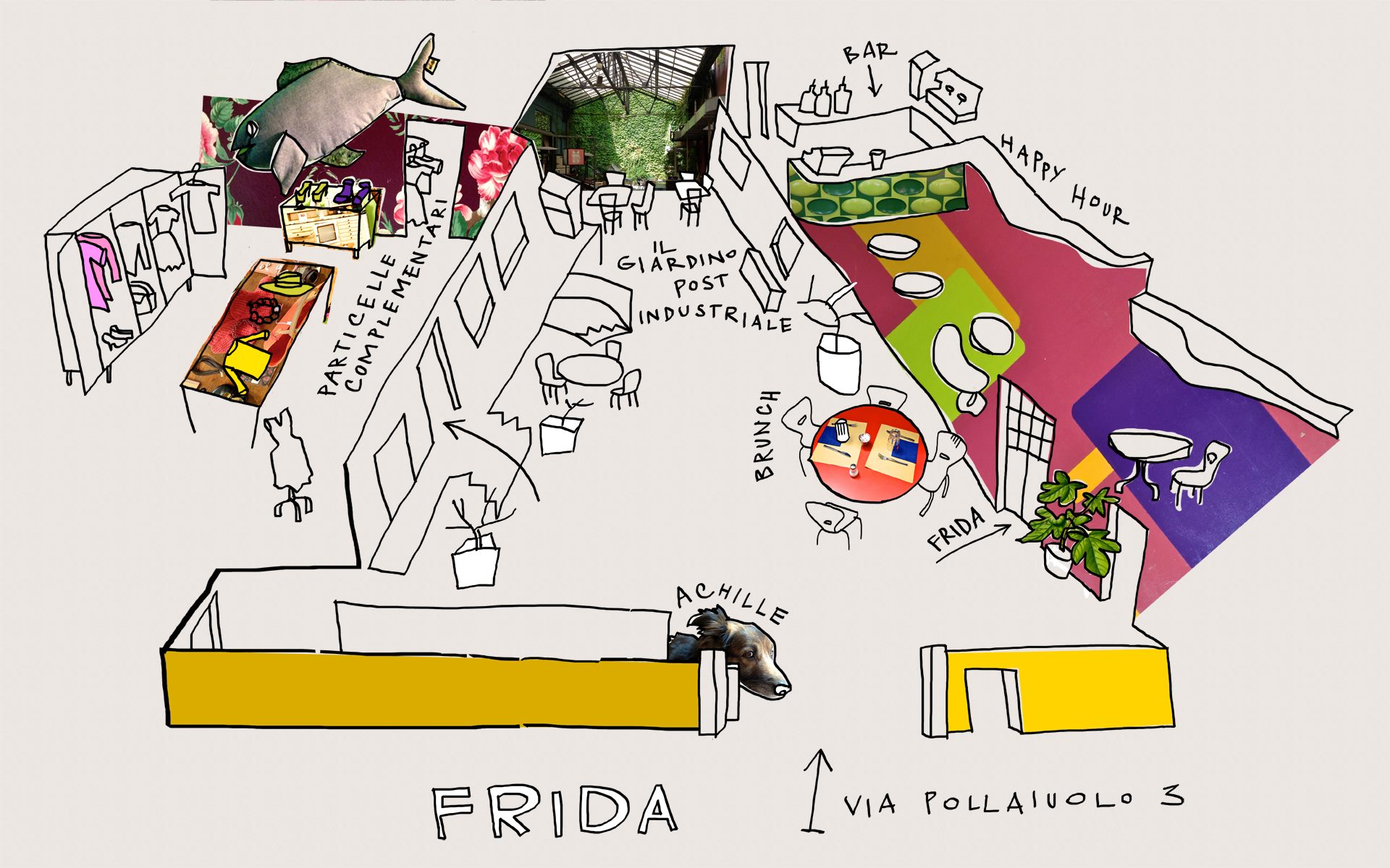 Frida Bar e Particelle Elementari