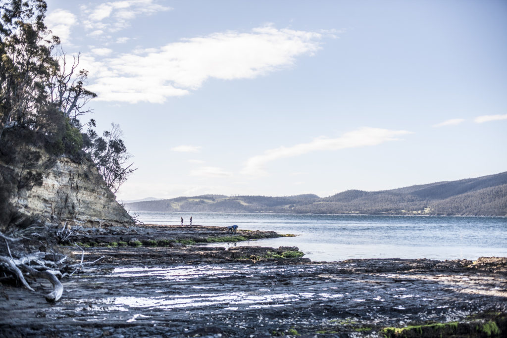 Satellite Island