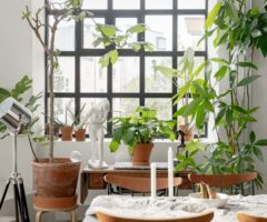 Go green: un luminoso loft pieno di piante